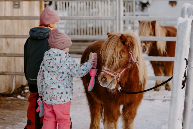 ponywinter