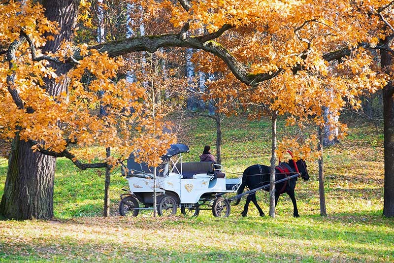 Zeit für uns im Erzherzog Johann