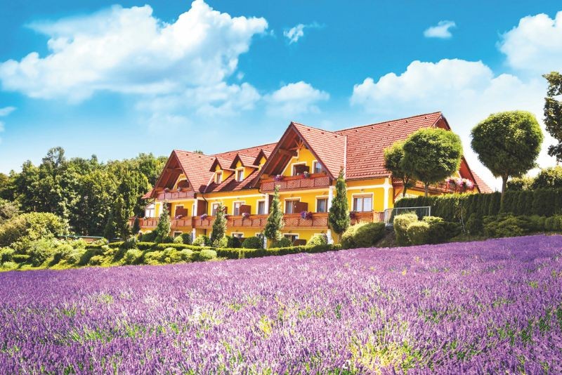 Familien-Genuss in Loipersdorf