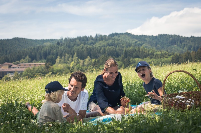 picknick