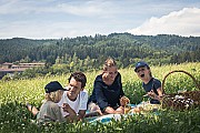picknick